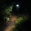 NEBO Curvbeam 600 Lumen Head/COB/Multi-Function Flex Technology - 4 of 4