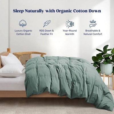 Puredown All Season 100% Organic Cotton Down Duvet Insert Medium Warmth ...