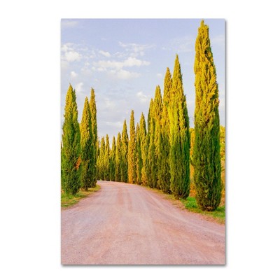 22" x 32" Italian Cypress Trees by Ariane Moshayedi - Trademark Fine Art