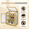 Cold Frame Greenhouse for Winter Wooden Mini Greenhouse Garden Polycarbonate Portable Greenhouse 2-Tier Greenhouse with Shelf for Outdoor Indoor Use - 4 of 4