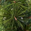 Resenkos 5-Ft Pre-Lit Artificial Christmas Tree with Red Berries and Pine Cones - - 2 of 4