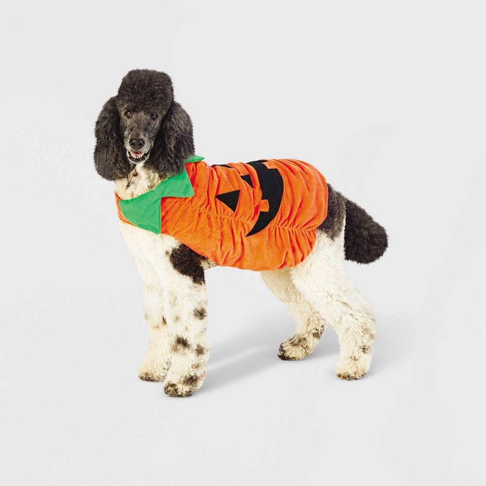 Halloween Plush Pumpkin Dog Costume - M - Hyde & EEK! Boutique™