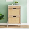 Shoe Cabinet Storage with 2 Flip Drawers and 1 Drawer,Freestanding Rattan Shoe Organizer with 3-Tier Adjustable Shelves for Slippers,Sneakers,Heels - 2 of 4