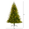 Nearly Natural 6.5-ft Colorado Mountain Fir Natural Look Artificial Christmas Tree with 400 Clear LED Lights and 2056 Bendable Branches - 2 of 4
