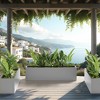 Dovelina Modern Metal Rectangular Planter– Elevate Your Space, Indoors & Outdoors - 4 of 4