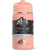 Hydrapeak Mini 14oz Kids Stainless Steel Insulated Water Bottle With Leak Proof Straw Lid - 3 of 4