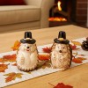 Transpac Dolomite 3.5 in Multicolor Harvest Hedgehog Salt and Pepper Shakers Set of 2 for Fall Thanksgiving Decor - 2 of 4
