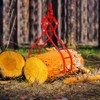 Claw Hook, 4 Claw Log Lifting Tongs, 36" Max Opening Log Grapple Logging Tongs, Trailing Steel Claws for Trucks ATVs Tractors Skidders Forklifts - 4 of 4