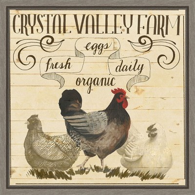 Amanti Art Animal Farm Collection II Chicken by Grace Popp Canvas Wall Art Print Framed 16 x 16-in.