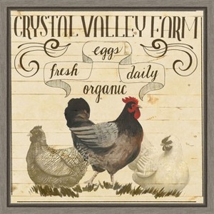 Amanti Art Animal Farm Collection II Chicken by Grace Popp Canvas Wall Art Print Framed 16 x 16-in. - 1 of 4