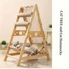 6-in-1 Deluxe Cat Tree Tower with Multi-Level House, Hammock, Jumping Platform, Scratching Post, Climbing Net - Real Branch Wood - 4 of 4
