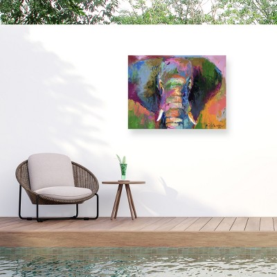Trademark Fine Art - Richard Wallich Elephant 2 Matted Framed Art
