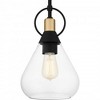 Quoizel Lighting 1 - Light Pendant in  Matte Black - 3 of 4
