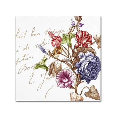 24" x 24" La Belle Vie II by Color Bakery - Trademark Fine Art