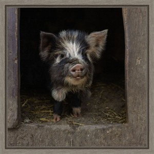 Amanti Art Please come in! (Pig) by Gert van den Canvas Wall Art Print Framed 16-in. x 16-in. - 1 of 4