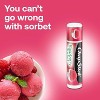 ChapStick Lip Moisturizer, Raspberry Sorbet, 12-Pack – Bulk Lip Balm, Luscious & Sweet, 0.15 Oz Ea - 3 of 4