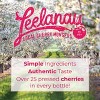Leelanau Cherry Lemonade - Case of 12 - 16 FO - 4 of 4