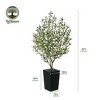 Artificial Olive Tree 5ft/6ft Tall Faux Indoor Plant - Realistic Green Leaves and Black Olives - Decorative Potted Tree for Living Room Home Office - 3 of 4