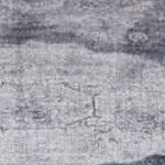 gray ivory