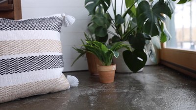 Tan and Black Hand Woven Outdoor Pillow with Tassels