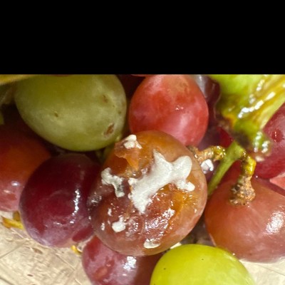 Guest review image 1 of 1, zoom in