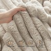Bedsure White Throw Fleece Blanket for Couch, Super Soft Cute Small Throws for Girls, 50x60 inches, Wider Striped Design - 3 of 4