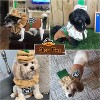 Latte Coffee Dog Halloween Costumes for Small Medium Dogs Cats, Puppy Dog Costumes Pet Clothes Outfit for Christmas Party Special Events - 4 of 4