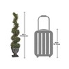 Design Toscano Spiral Topiary Tree Collection: Small - 4 of 4