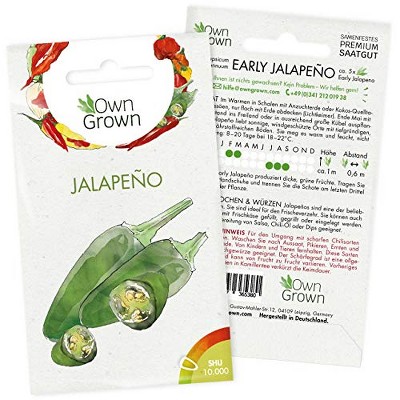 Owngrown Kale Premium Vegetable Seeds, Green : Target