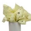 Soular Powered 10ct Tissue Gift Packaging Accessories Hot Stamp - 3 of 4