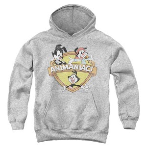Boys’ Animaniacs Shielded Animaniacs Hooded Sweatshirt - 1 of 4