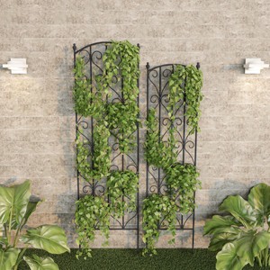 Garden Trellis- For Climbing Plants-Set of 2- Metal Panels with Decorative Scrolls-For Vines Roses Vegetable Plants & Flowers by Nature Spring - 1 of 4