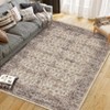 Coolmee Washable Area Rug Antique Distressed Rugs for Living Room Vintage Non Slip Modern Bedroom Carpet Stain Resistant Rug - 4 of 4