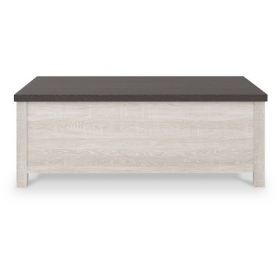 Brown and White Rectangular Lift-Top Coffee Table with Storage