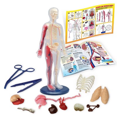 Wild! Science Hands-On Human Body Science Kit