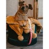 Pink Papyrus Lola Dog Leash - 2 of 3