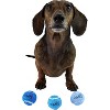Midlee Mini 1.5" Dog Squeaky Tennis Balls- Set of 6 - 3 of 4