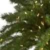 7ft Nearly Natural Pre-Lit LED Slim Palm Artificial Christmas Tree Warm White Lights - 3 of 4