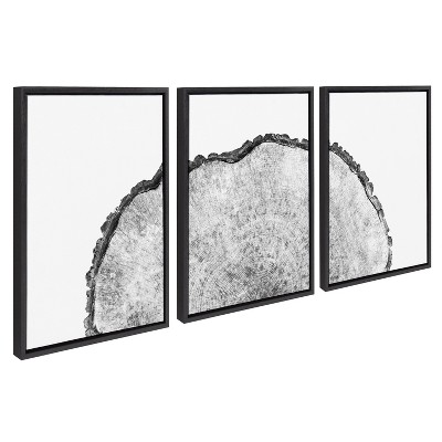 Kate and Laurel Sylvie Tree Rings Set Framed Canvas by Emiko and Mark Franzen of F2Images, 3 Piece 18x24, Black