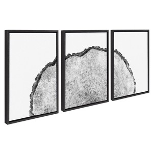 Kate and Laurel Sylvie Tree Rings Set Framed Canvas by Emiko and Mark Franzen of F2Images, 3 Piece 18x24, Black - 1 of 4