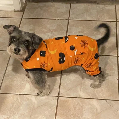 user image by Mini Schnauzer Mom