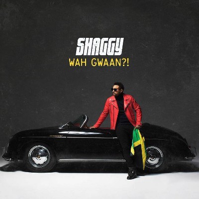 Shaggy - Shaggy (Vinyl)