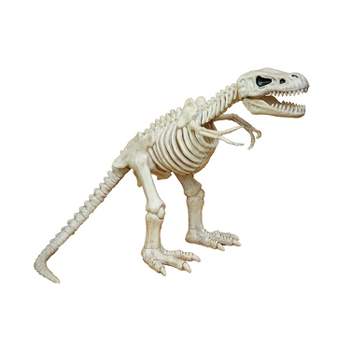 Seasons USA T-Rex Skeleton Halloween Decoration - 16.25 in x 10.5 in x 15.5 in - Off-White