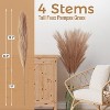 4 PCs Faux Pampas Grass Decor, 44 Inch Tall Fluffy Artificial Fake Flower Boho Decor, Bulrush Grass for Vase Filler, Farmhouse Home Wedding Decor - 2 of 4