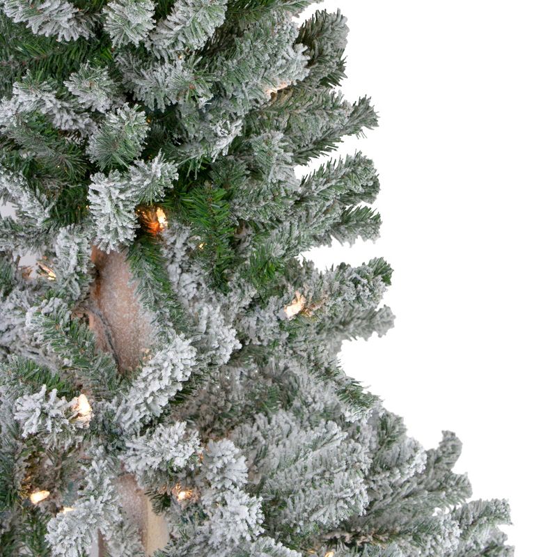 Northlight 6' Pre-Lit Flocked Alpine Artificial Christmas Tree, Clear Lights, 5 of 8