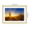 Amanti Art Saguaro National Park Setting Sun by Melanie Viola Wood Framed Wall Art Print - 3 of 4