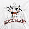 Boys’ Animaniacs Animaniacs Trio Hooded Sweatshirt - 2 of 4