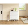 31.5" Narrow Flip Drawer Shoe Cabinet with Carved Front & Solid Wood Legs, Anti-Tip for Entryway or Small Spaces-3irtyhousy - 2 of 4