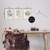 Stupell Industries Green Botanical Latin Study, 11" x 14" - 3 of 4