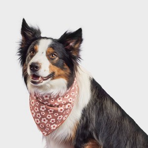 Floral Dog Bandana - Boots & Barkley™ One Size Fits Most - 1 of 3